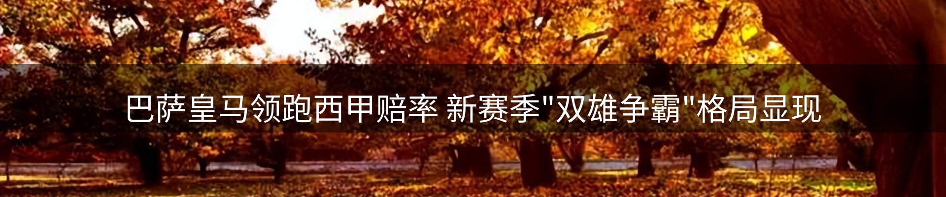 内页banner