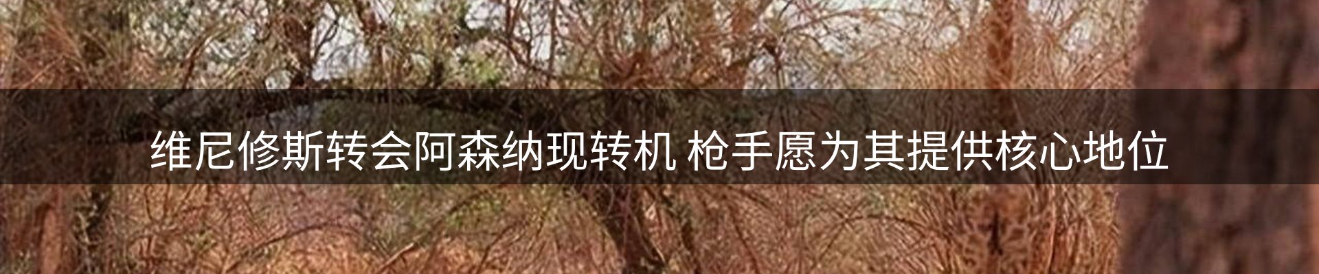 内页banner